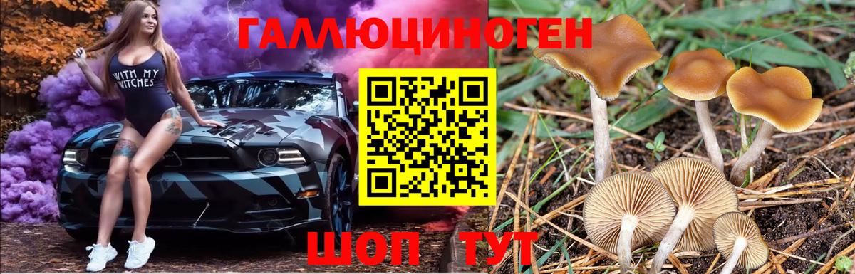 Воронеж  Псилоцибиновые грибы мухоморы  Вход с VPN  Псилоцибиновые грибы ЛСД 